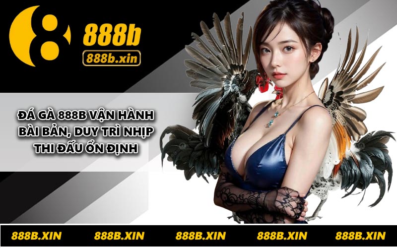 Đá gà 888B vận hành bài bản, duy trì nhịp thi đấu ổn định